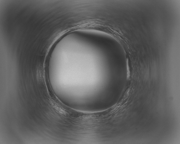 X0000056320100200509021614