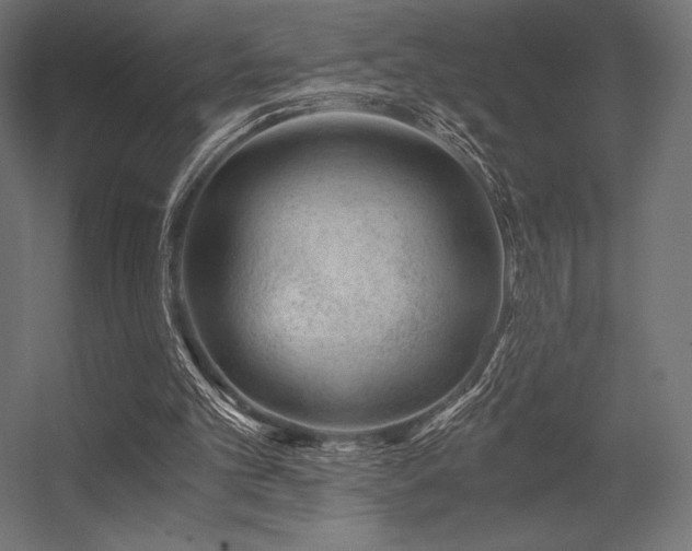 X0000056320101200509021613