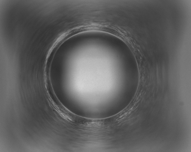 X0000056320102200509021613