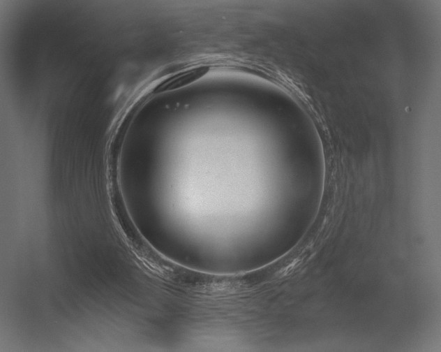 X0000056320103200509021613