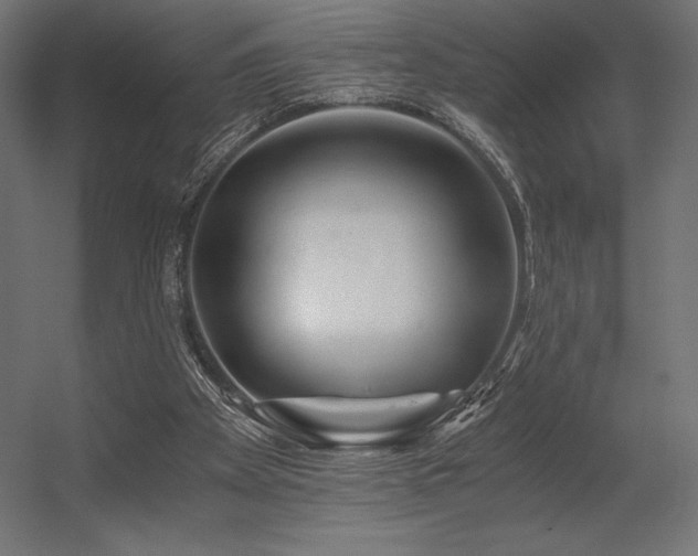 X0000056320105200509021613