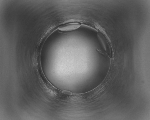 X0000056320106200509021613