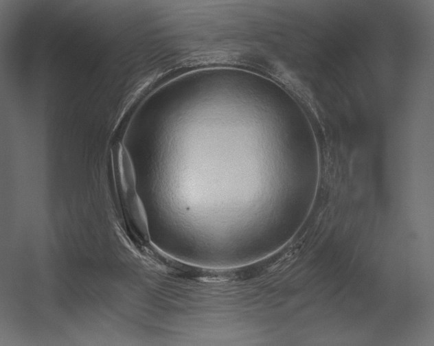 X0000056320107200509021613