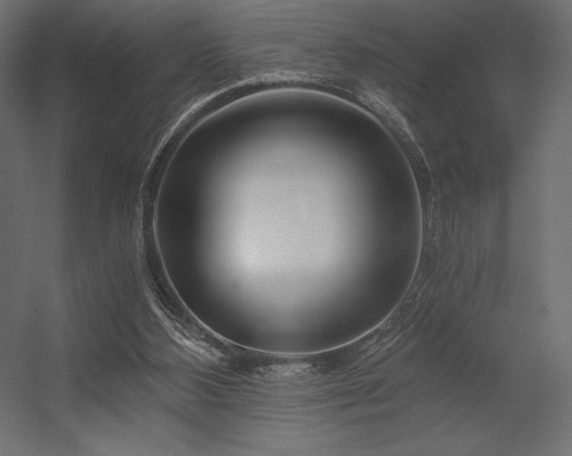 X0000056320108200509021613