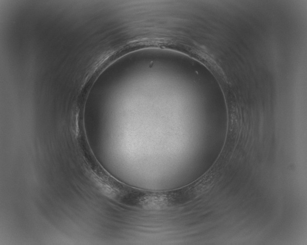 X0000056320110200509021613