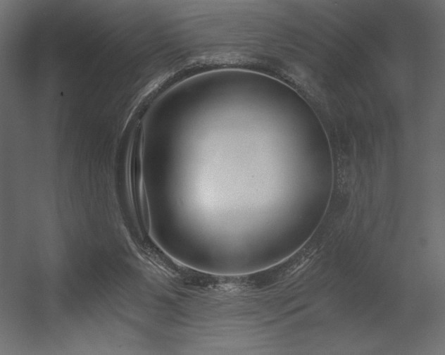 X0000056320111200509021613