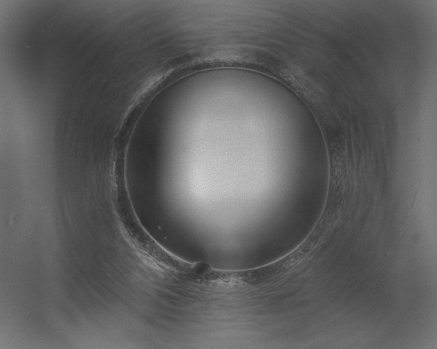 X0000056320112200509021613