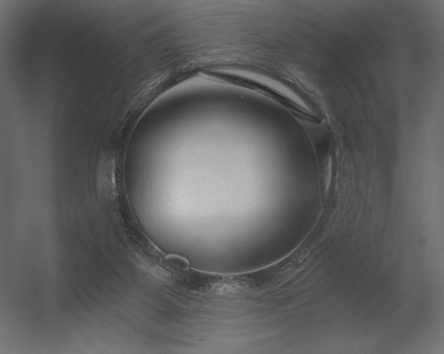 X0000056320115200509021613