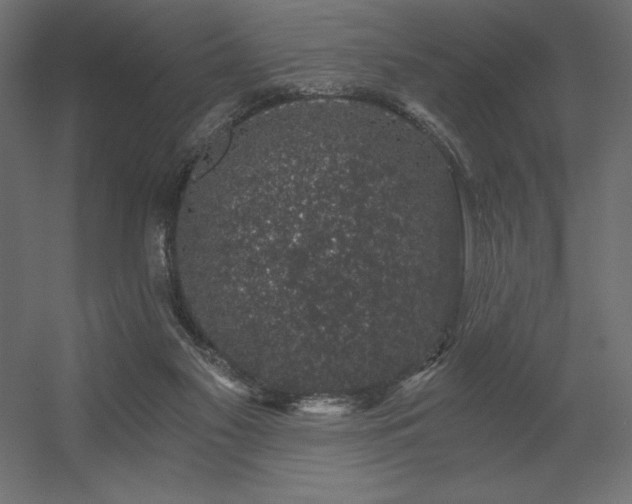 X0000056320117200509021613