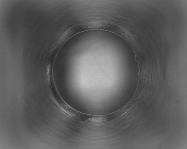 X0000056320118200509021613