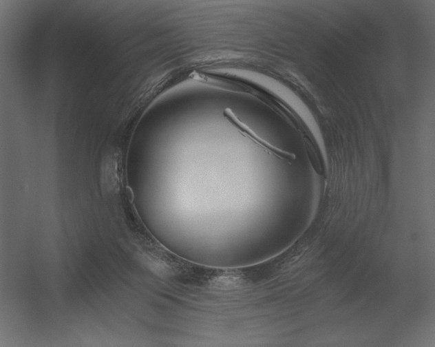 X0000056320119200509021613