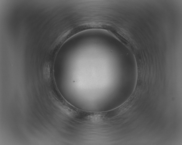 X0000056320120200509021613