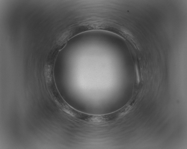 X0000056320121200509021613