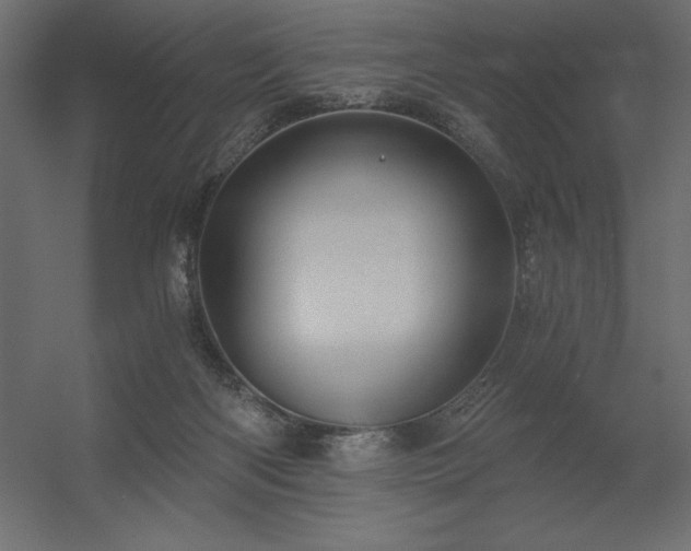 X0000056320122200509021613