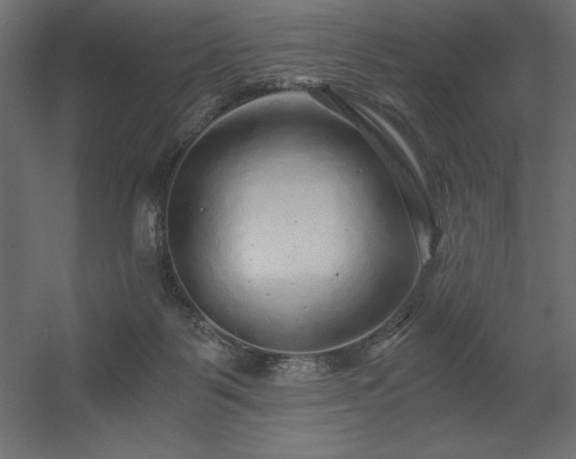 X0000056320123200509021613