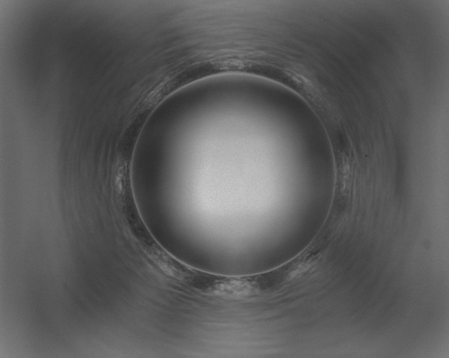 X0000056320125200509021613
