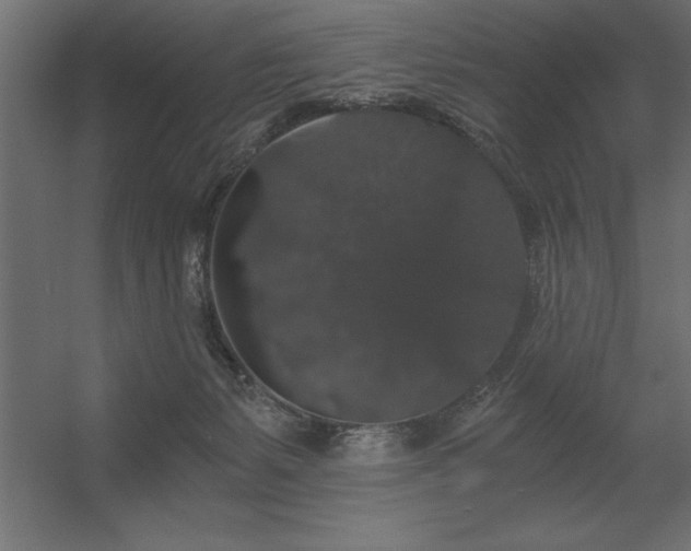 X0000056320127200509021613