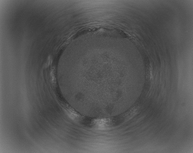 X0000056320131200509021613