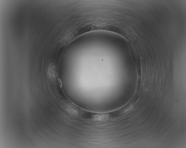 X0000056320135200509021613