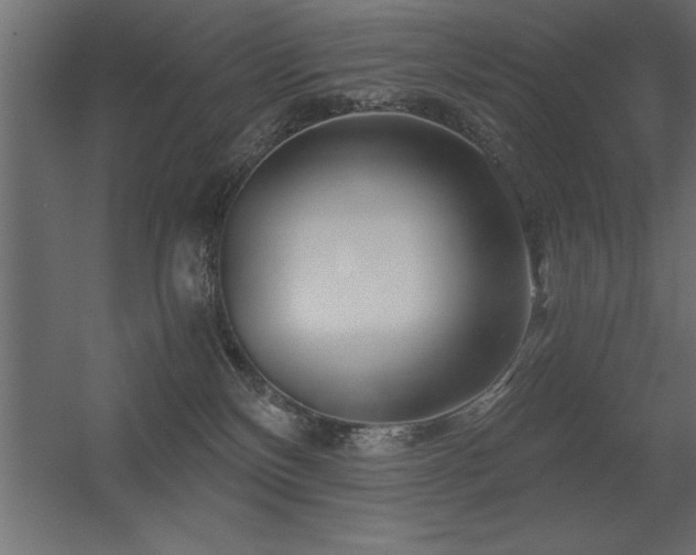 X0000056320136200509021613