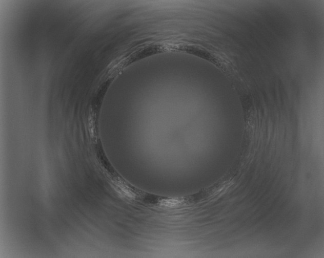 X0000056320139200509021613