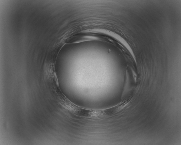 X0000056320141200509021613