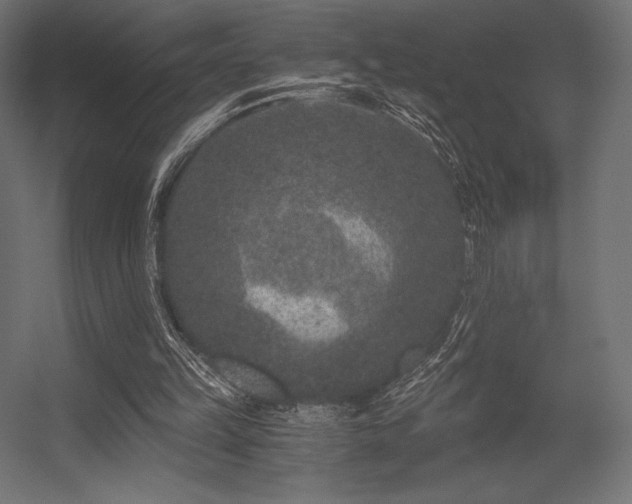X0000056320149200509021612