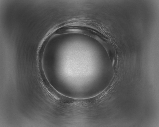 X0000056320150200509021612