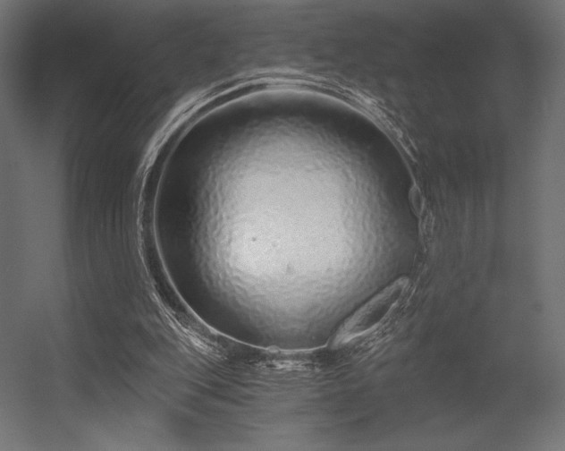 X0000056320151200509021612