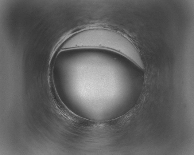X0000056320152200509021612