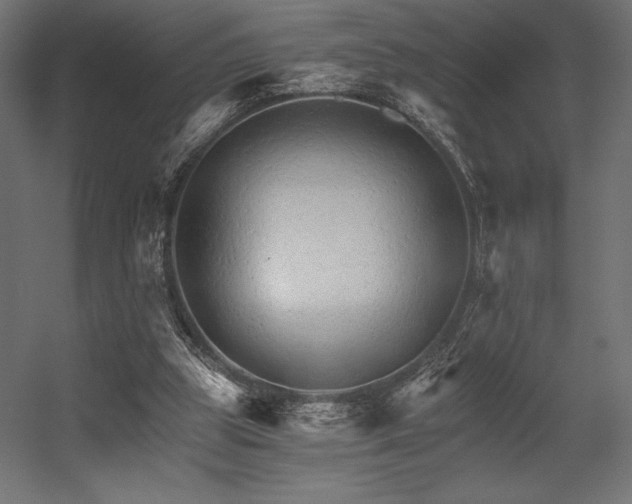X0000056320153200509021612