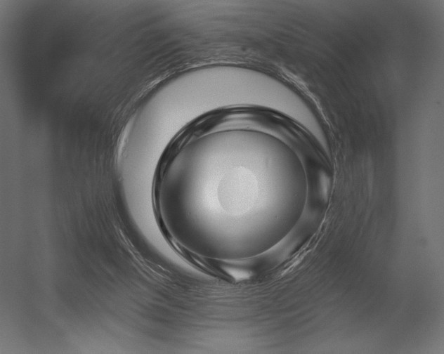 X0000056320154200509021612