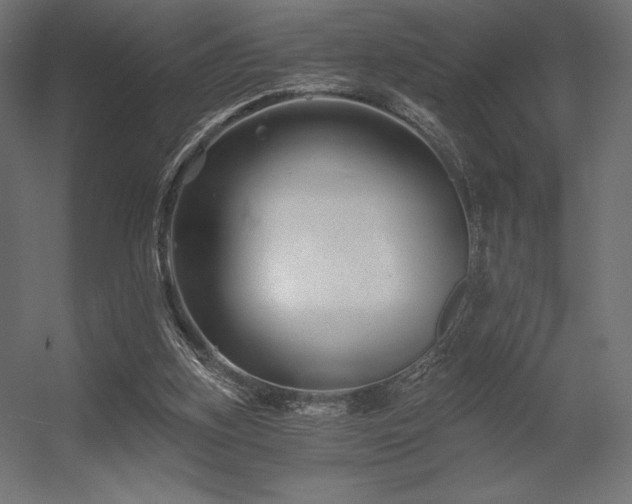 X0000056320155200509021612