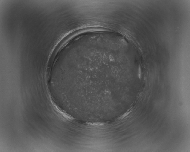 X0000056320156200509021612