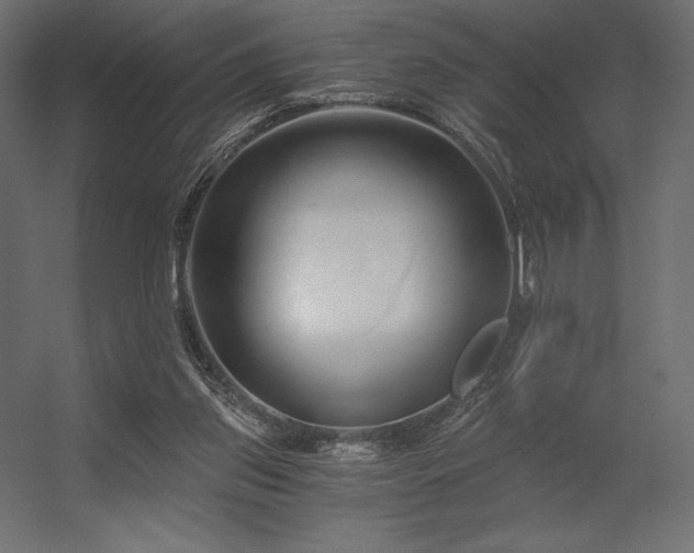 X0000056320157200509021612