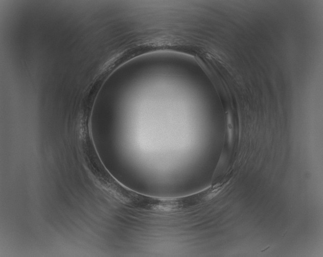 X0000056320164200509021612