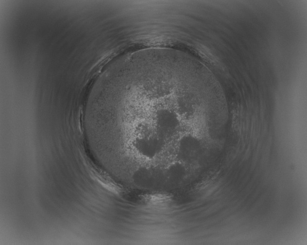 X0000056320165200509021612