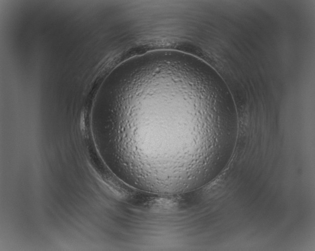 X0000056320166200509021612