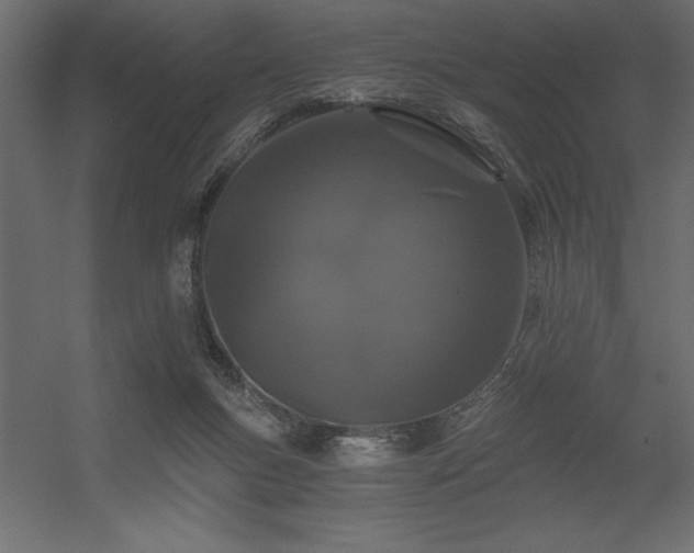 X0000056320167200509021612
