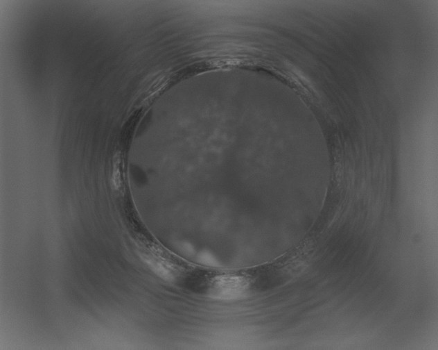 X0000056320169200509021612