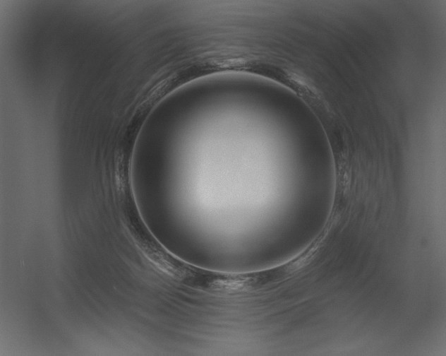 X0000056320170200509021612