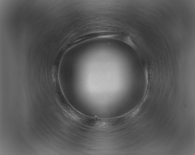 X0000056320174200509021612