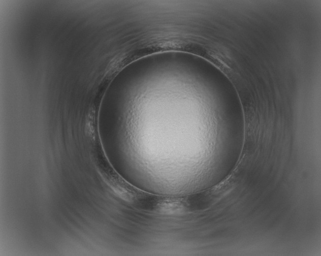 X0000056320175200509021612
