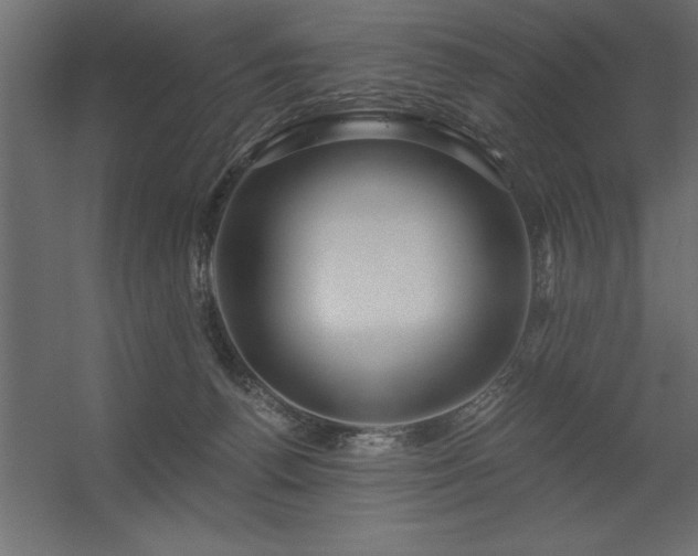 X0000056320176200509021612