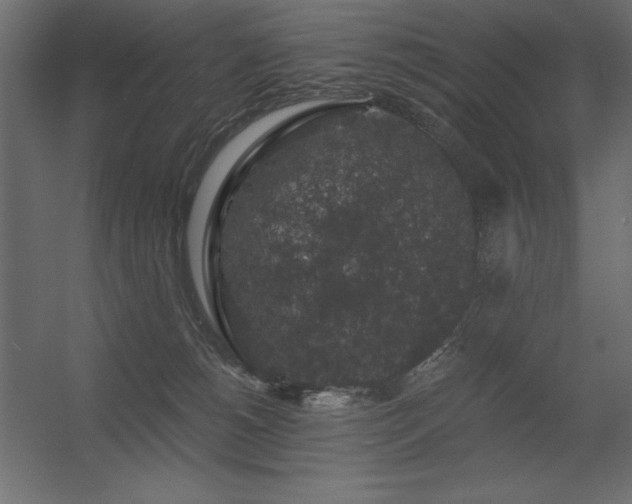 X0000056320180200509021613