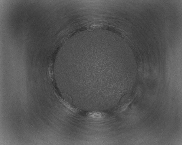 X0000056320181200509021613