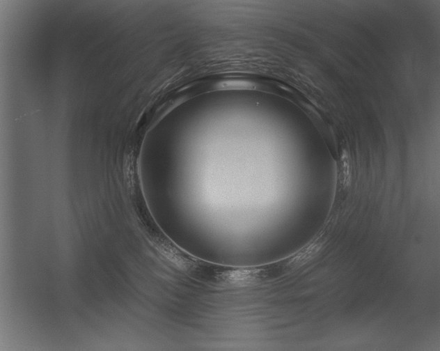 X0000056320184200509021613