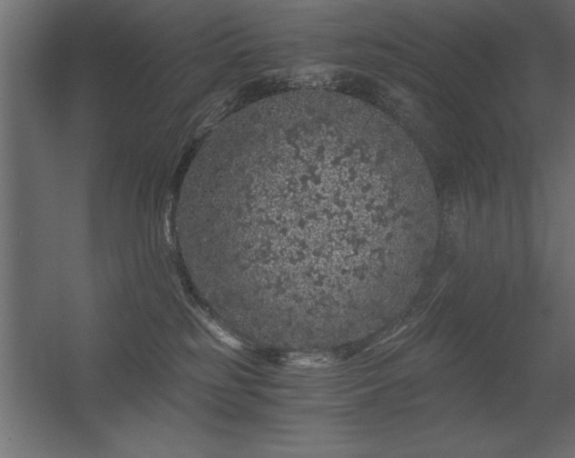 X0000056320185200509021613