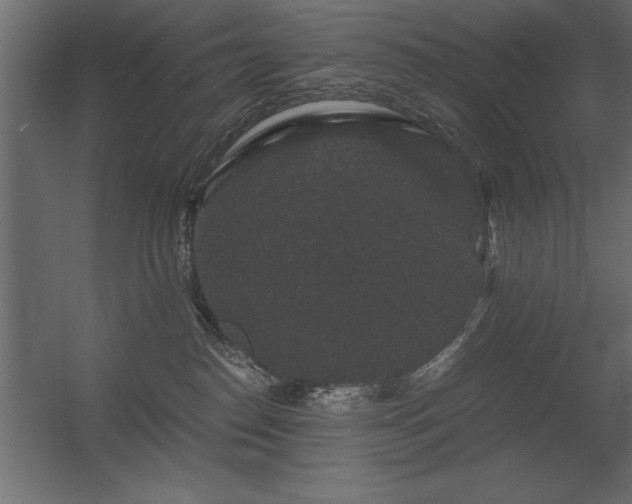 X0000056320186200509021613