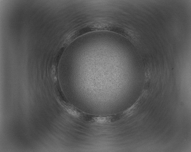 X0000056320187200509021613